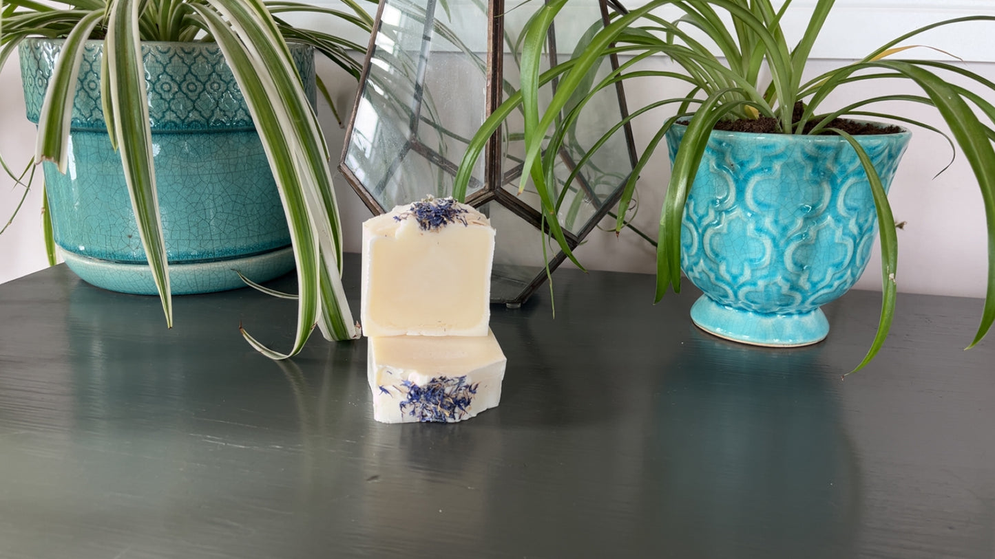 Eucalyptus Soap