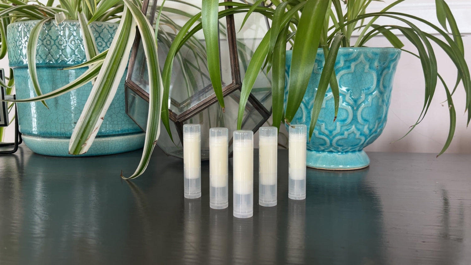 Tallow Lip Balms