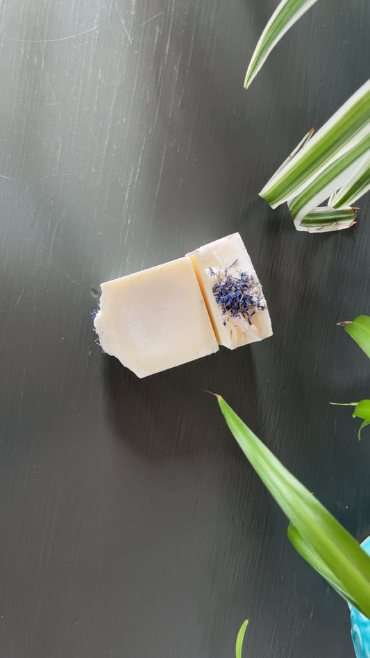 Eucalyptus Soap