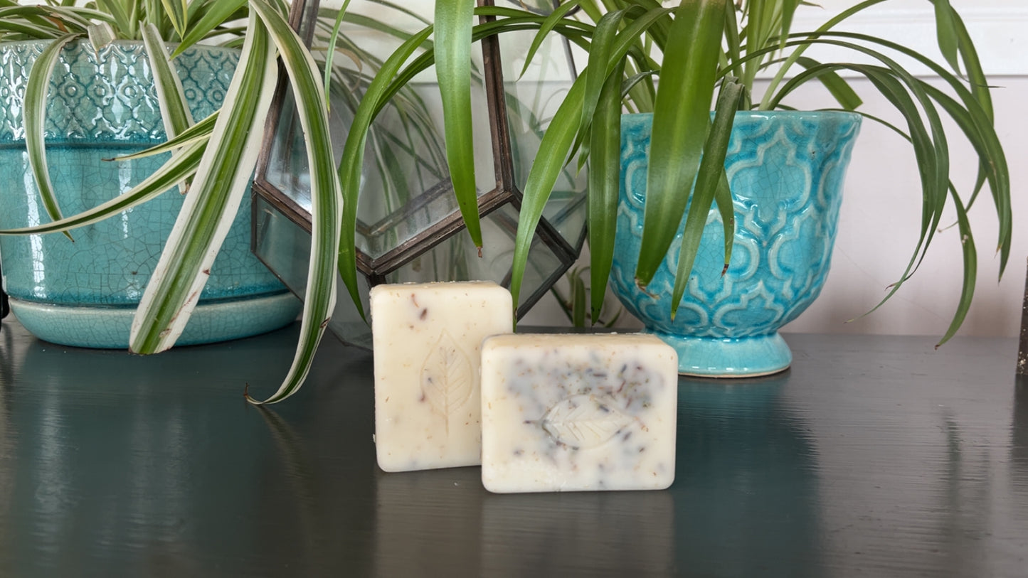 Lavender Lotion Bar