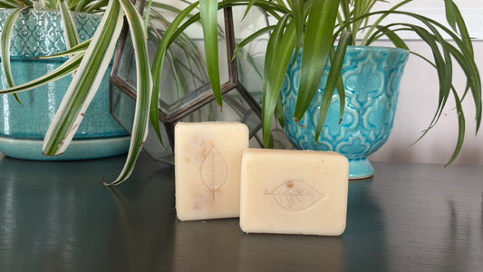 Cinnamon Lotion Bar